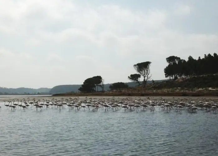 Casa Da Alegria Villa